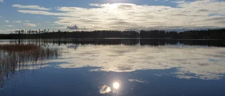 Läsarbilden                   