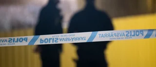 Bekämpa de svenska gängen med danska straff