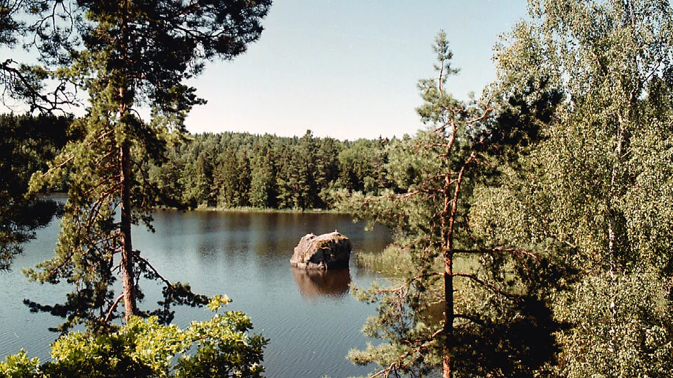 Länsstyrelsen har valt att överpröva två strandskyddsdispenser fattade av miljö- och byggnadsnämnden. Bilden är en genrebild.