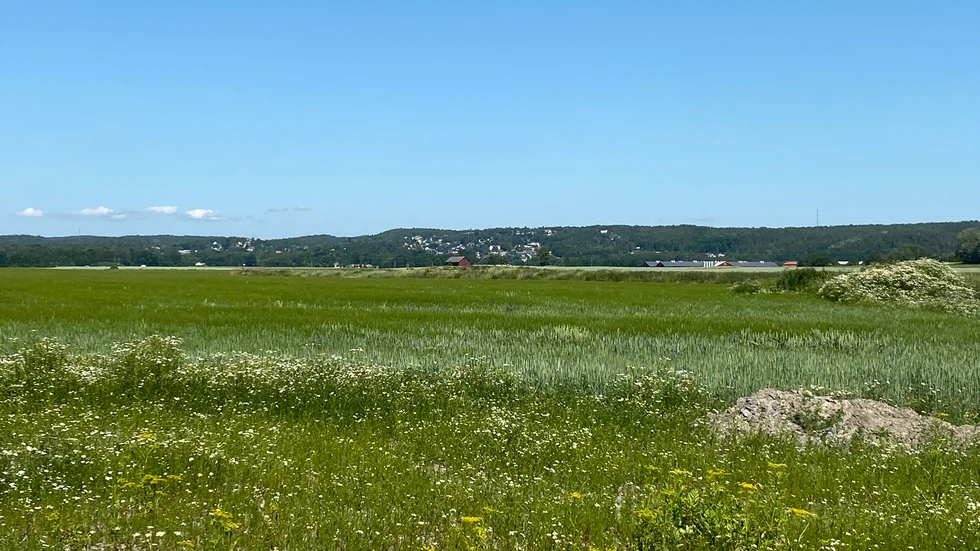 Här är en del av den mark som kommunen enligt Jan Karlsson "hotar" med att omvandla till naturreservat. 
