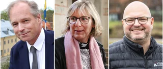 Hedersuppdraget: Här är profilerna som är årets borgmästare och slottsfru