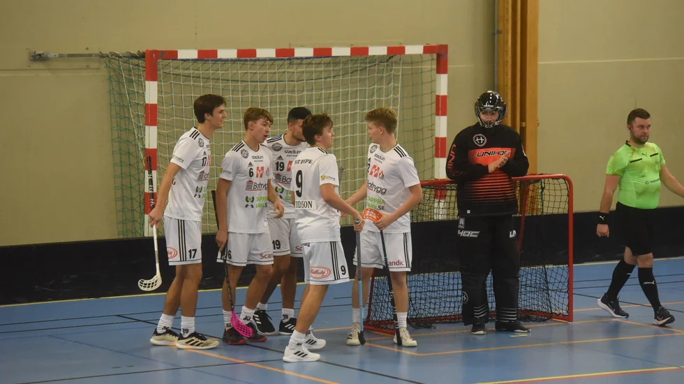Linköping stack ifrån tidigt och kunde hålla undan och vinna med 8-4 mot Vimmerby.