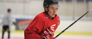 Lovande forward stannar i Sudret