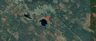 Nya ägare till skog i Glommersträsk