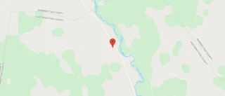Ny ägare till skogsmarken på Borgfors 1 i Byske