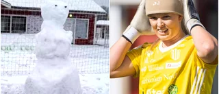 Efter snöfallet – PIF vädjar till allmänheten: "Hoppas folk vill hjälpa till"