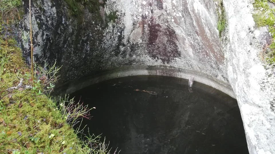 Perkils kättil var målet för Naturskyddsföreningens senaste vandring.