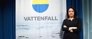 Eluppgången har mattats av