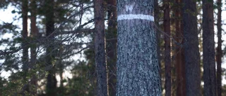 "Det har brustit från båda parter"