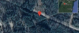 Fallna träd skapar problem i trafiken