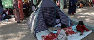 Mohammed i Kabul: Världen har svikit oss