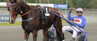 Skellefteåtravet: Lexington Tooma slog till efter ett drömlopp – stall Eriksson klev över 800 000 