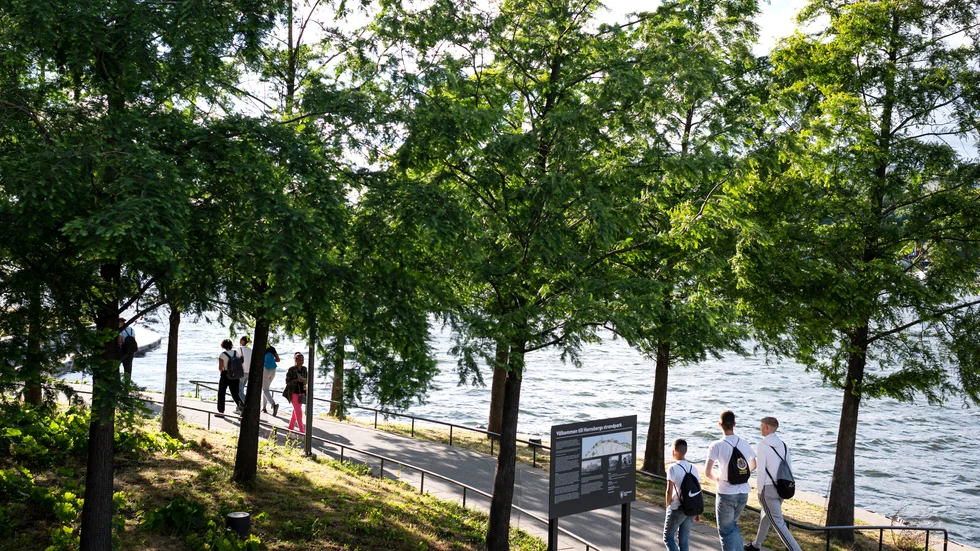 Det blir uppemot 20 grader i södra Sverige under nästa vecka. Arkivbild.