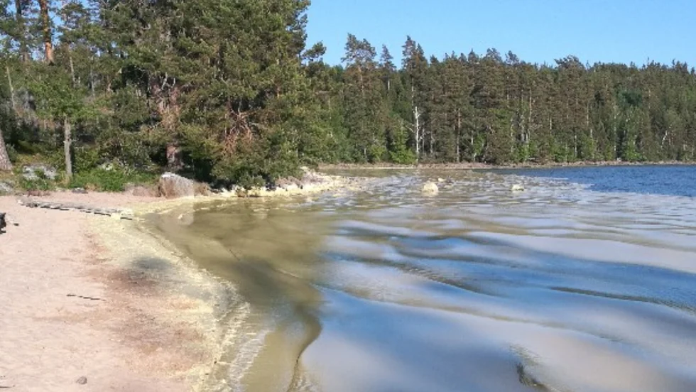 Torpa sand är ett av ställena som drabbats av stora mängder pollen, något som nu tror kunna vara en orsak till de höga bakteriehalterna.