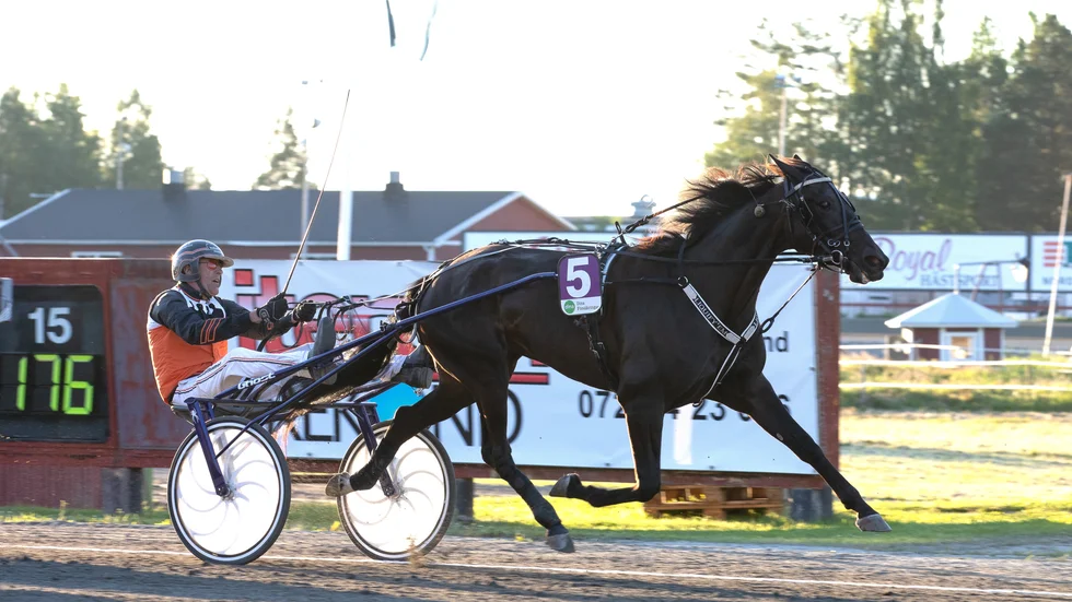 Liquify'em är ett hemmahopp i Diamantstoets försök inom V75-spelet på Skellefteåtravet idag.