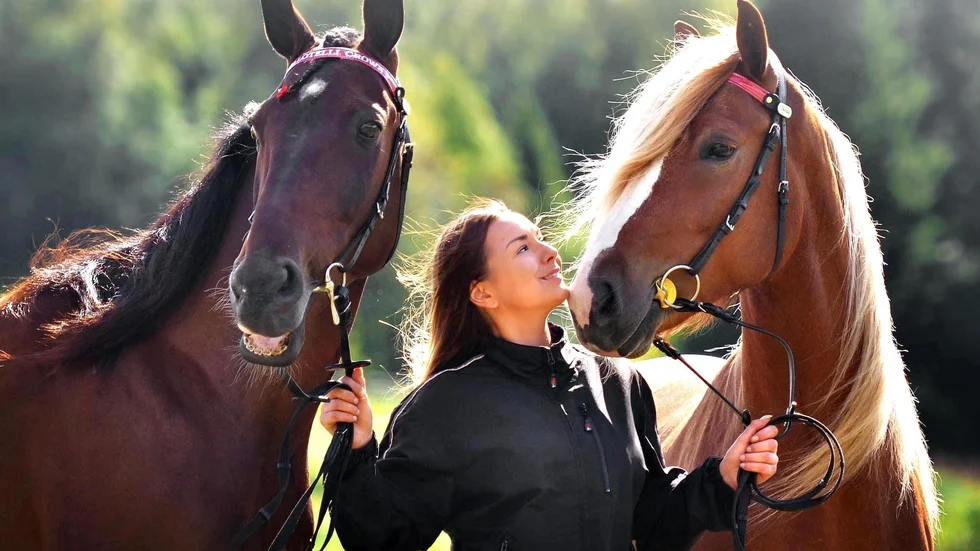 Lina Tallberger och Balotelli Crown, till vänster, startar i V75–7 på Skellefteåtravet imorgon.