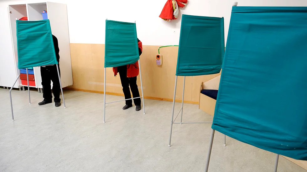 Skribenten menar att demokratin skulle må bra av fler folkomröstningar.