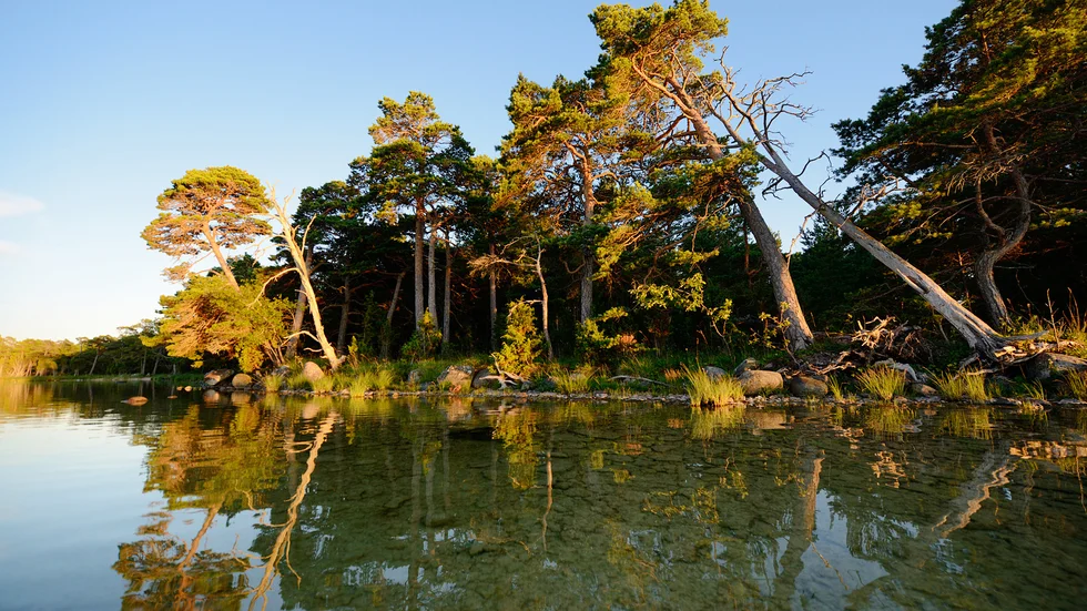 Det allmännas intresse av att bilda nationalparken vägde tyngre än samfällighetens vilja att behålla vägen i sin ägo. Lantmäteriet beslutade att överföra marken till Naturvårdsverkets fastighet.
