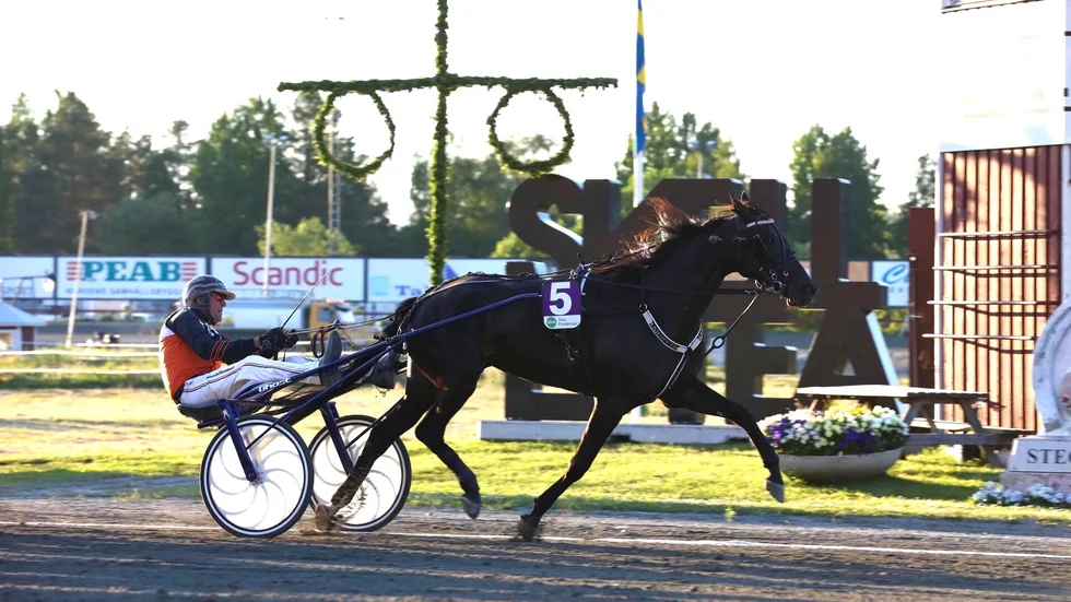 Ove A Lindqvist vinner med Liquify'em under midsommartravet i Skellefteå.