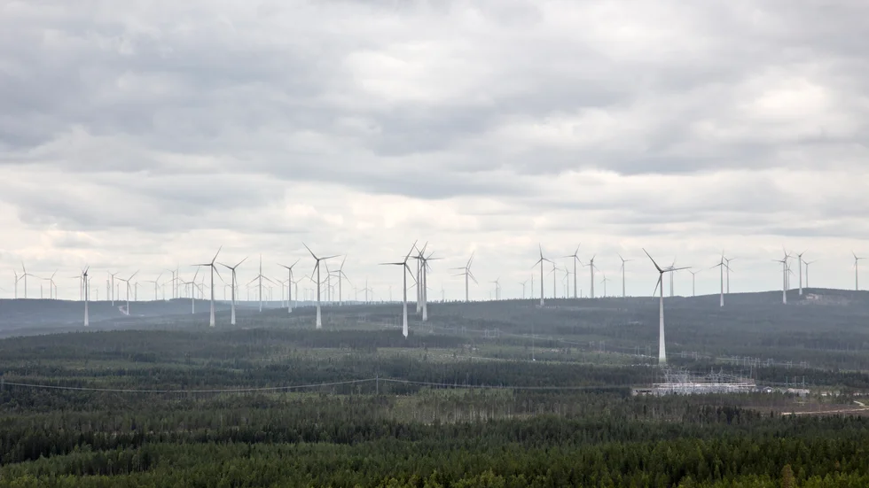 Man ser inte skogen för alla kraftverk.