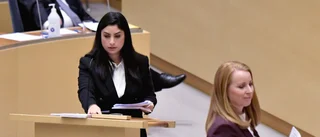 Lööf och Dadgostar lär aldrig dansa tryckare
