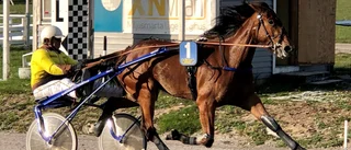 Lupine och Young Yade lyste i kapp med solen 