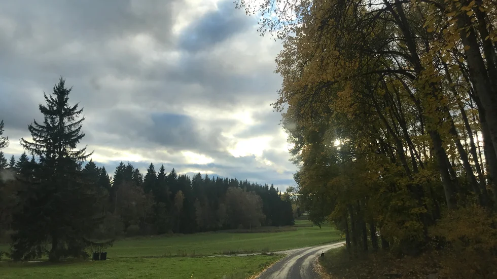 Hur vill du och ditt parti utveckla landsbygden och dess mindre tätorter. Och då menar vi inte i svepande ordalag, skriver Kommunbygderåd Nyköpings Larz Johansson och Gunnar Casserstedt.