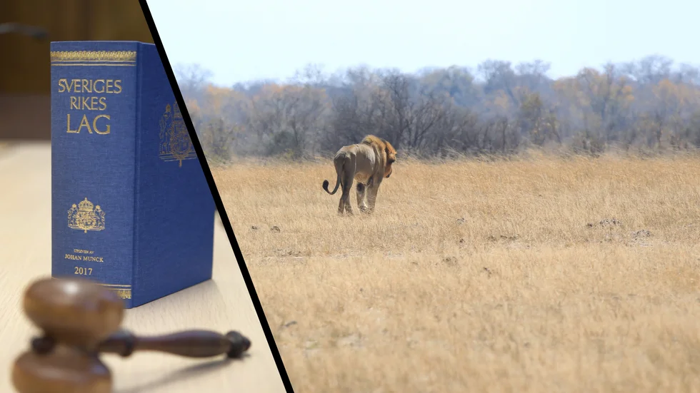 Två män döms för skattebrott och medhjälp till skattebrott, efter att ha låtit den enes företag betala för en jaktresa i Afrika. Bilden är tagen i ett annat sammanhang.