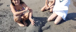 De skapade sandskulpturer på Gläntan • Fin delfin i sand växte fram
