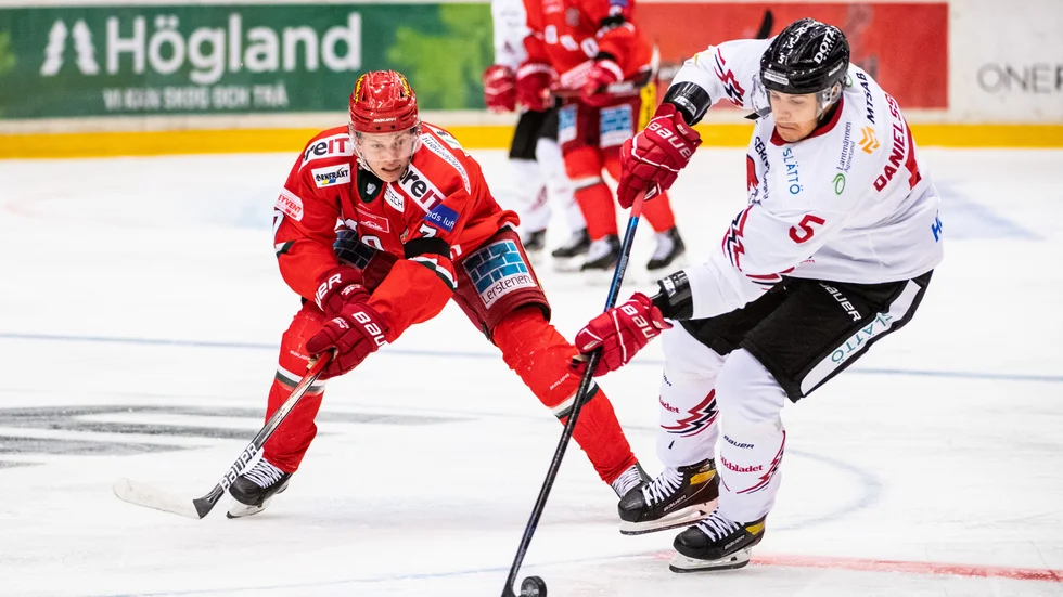 Anton Danielsson är enligt uppgifter till Sporten nära en övergång till Boden Hockey.