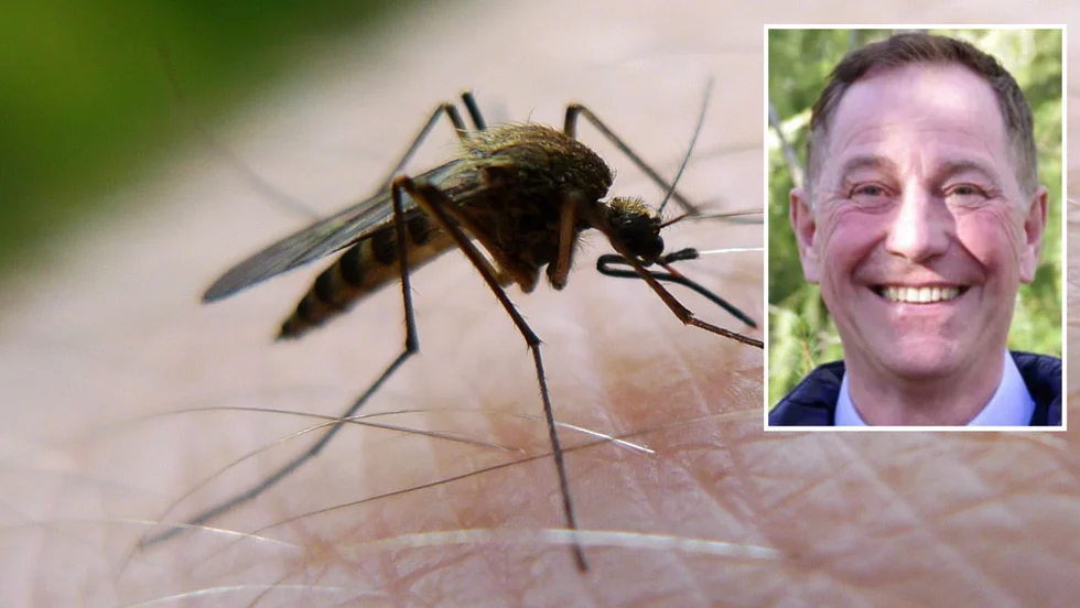 "Blir det ömsom sol, ömsom regn så lever rackarna länge och eländet bara fortsätter", säger Jan Lundström verksamhetschef inom Biologisk Myggkontroll.