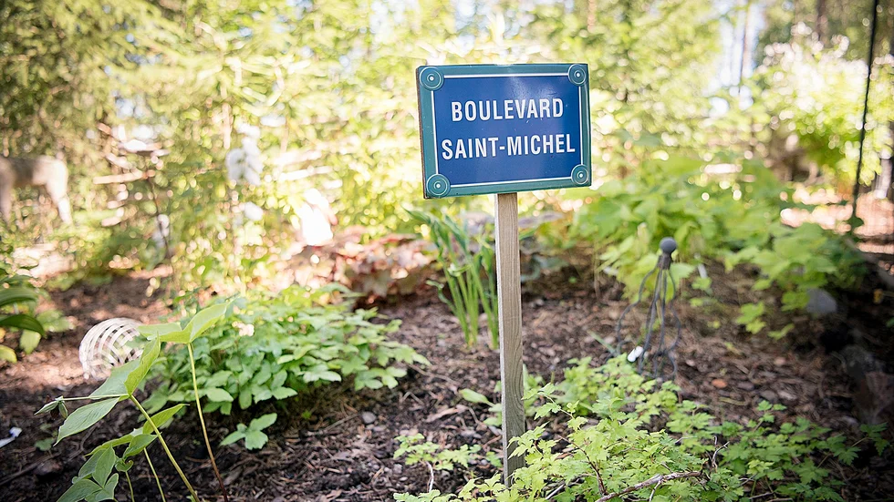 S:t Michel rhododendron har fått en egen avdelning i trädgården.