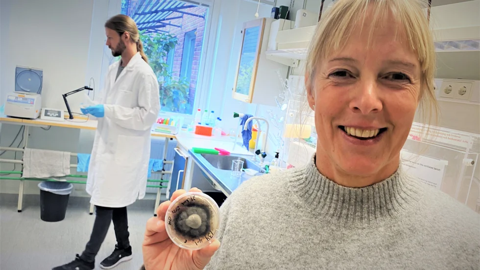 "Svamp är hett", säger Hanna Johannesson, professor i systematisk biologi och mykolog, som gläds stort över makarna Holms stordonation. 