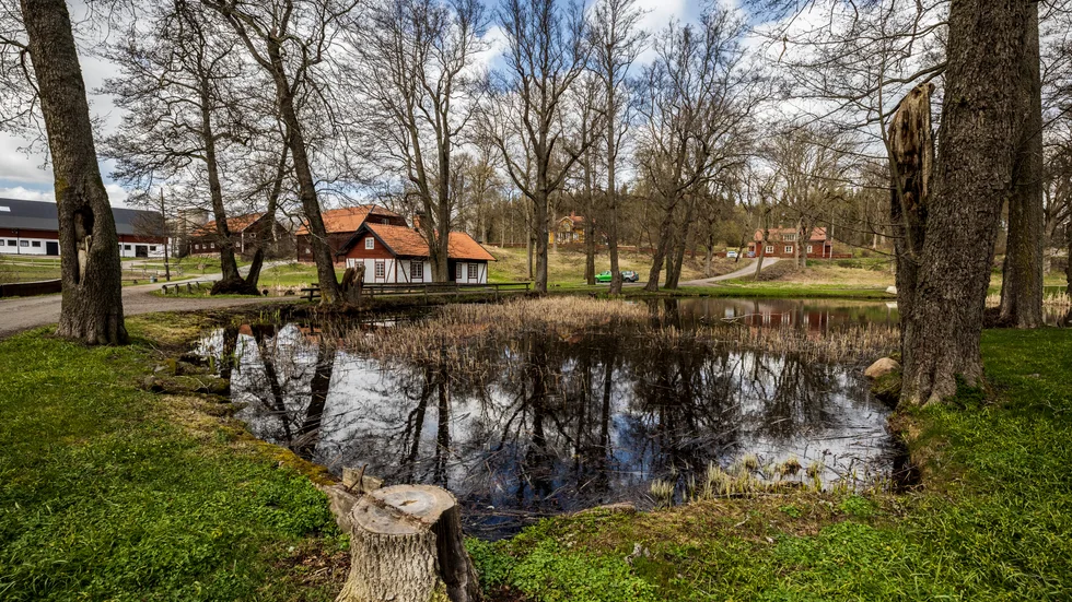 Marielund kan få en krafig utbyggnad i framtiden - eller nästan ingen alls. Kommunens förslag innehåller allt från 40 till 530 nya bostäder.