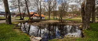 Kraftig utbyggnad eller minitillväxt i känslig miljö