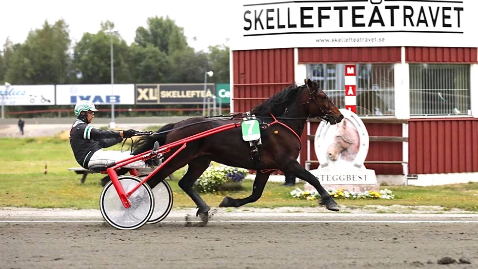 Alvgrim höll för favorittrycket när han slog till med seger som V5-omgångens störste favorit. 