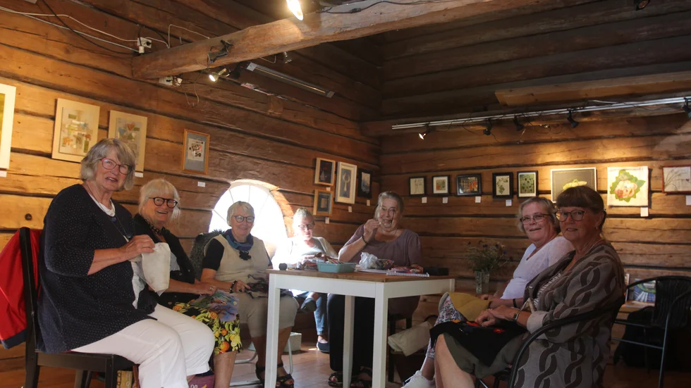 Glada pensionärer under broderiutställning i Fridhems kaffestuga, Katrineholm. Från vänster: Birgitta Löfstedt, Jette Koldby Tjerring, Kerstin Tornebrink Petterson, Ylva G. Karlsson, Gudrun Svahn, Stina Boman Ramsing, Lena Letterbrandt Lif.