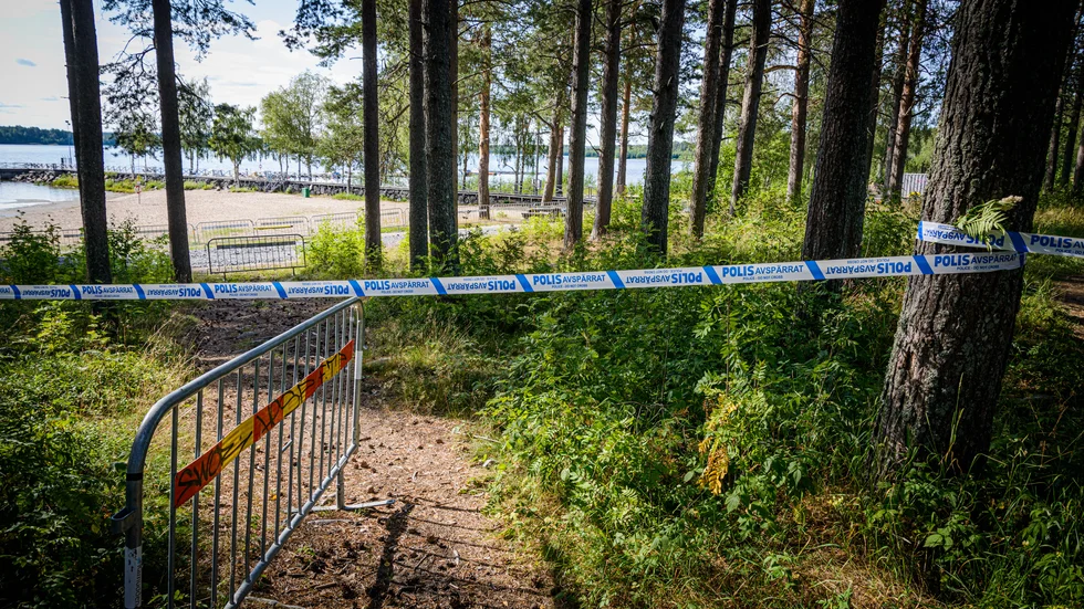 Utredningen om det misstänkta mordet på Notviken fortgår under dagen med bland annat fler förhör. 