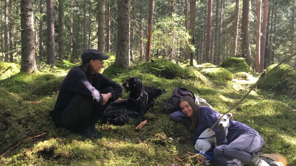 Malin Arnell och Åsa Elzén har arrenderat skog för att rädda den. Pressbild.