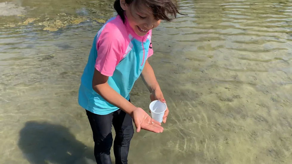 Janalina Taha samlar på snäckor ute på Strandstuviken. 