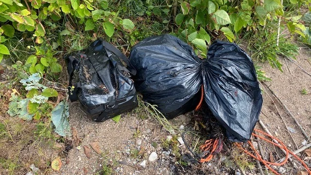 Närmare 70 kilo kokain för m flöt iland på en strand i Skåne.