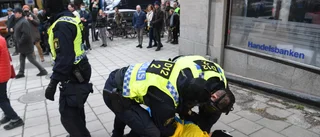 Polisen nöjd med insats under demonstrationerna