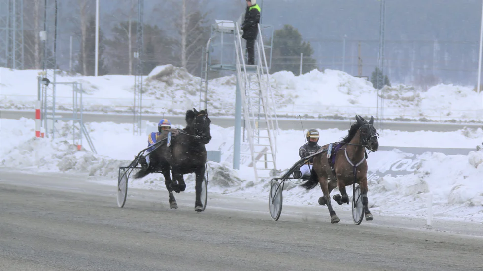 Rote Lin (Sandra Eriksson) håller enkelt undan för Ros Svarten i V4-2.