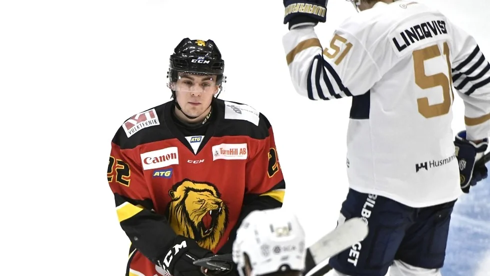 Kevin Karianders Lejon föll med 3–1 i vårseriens sista match mot Örnsköldsvik.