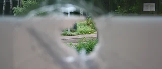 Ännu mer skadegörelse på skolor