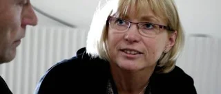 "Egen region det bästa för Gotland"