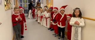 "Saaankta luciiia" – här lussar förskolebarnen!