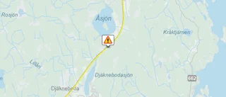 Ett 20-tal hästar sprang lösa på E4 – polis ryckte ut