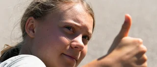Thunberg drar sig ur festival: "Greenwashing"