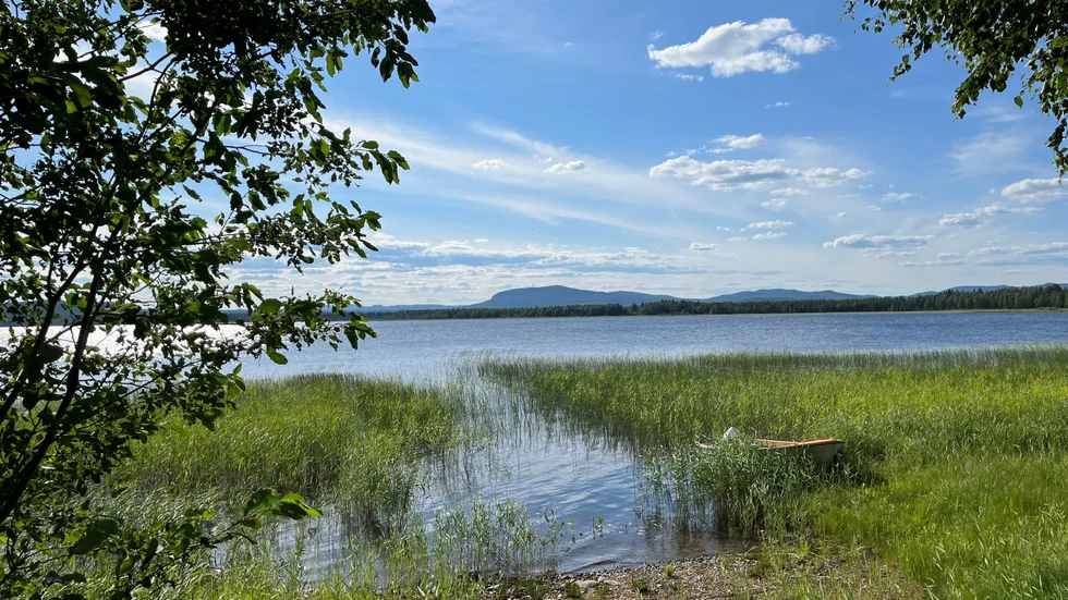 "En bild av sommar" kallar Ann-Catrine Eriksson det här bidraget.